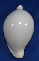Ovula ovum