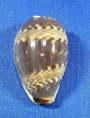 Palmadusta dilucum dilucum